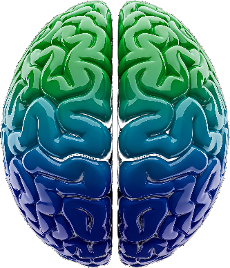 Calibre brand visual — green to blue gradient brain